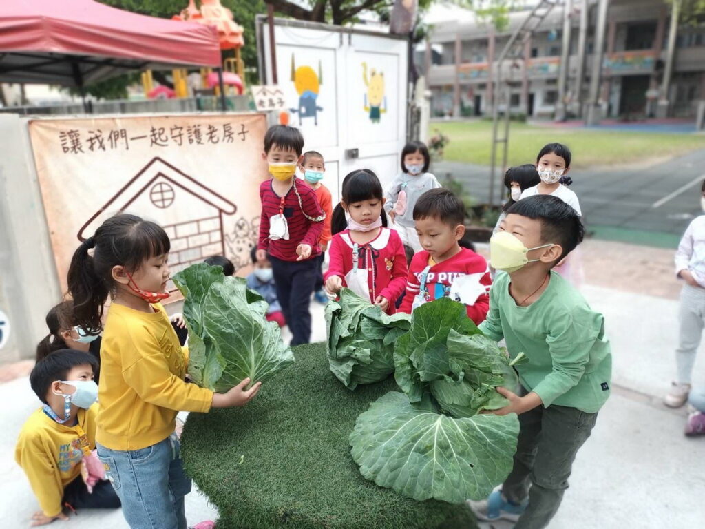 復國幼兒園孩子觀察高麗菜。圖/嘉義市政府提供