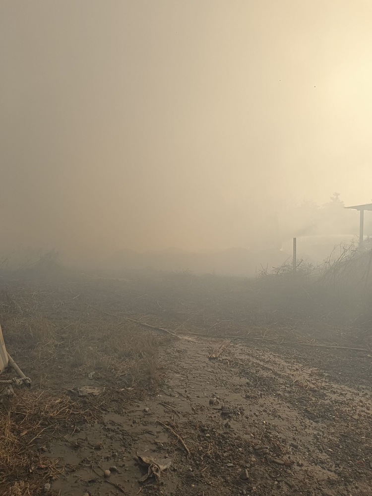 漾新聞|兩千坪農地被堆置非法建築廢棄物乾燒兩天濃煙密佈 邱于軒為林園居民爭取權益