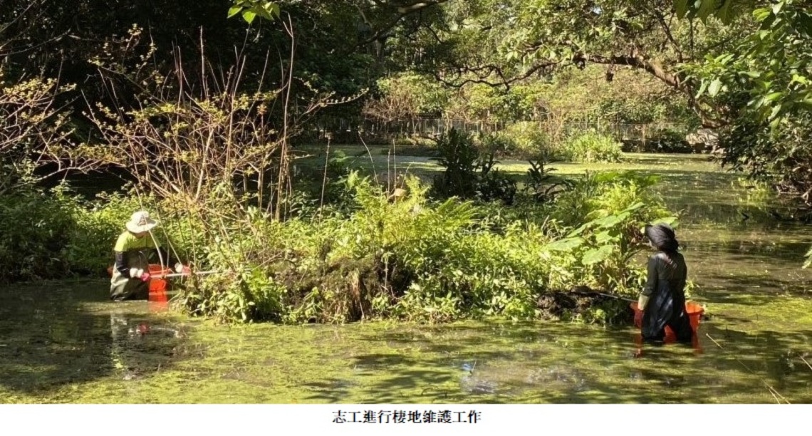 最愛木柵萃湖 4/10賞螢活動起跑