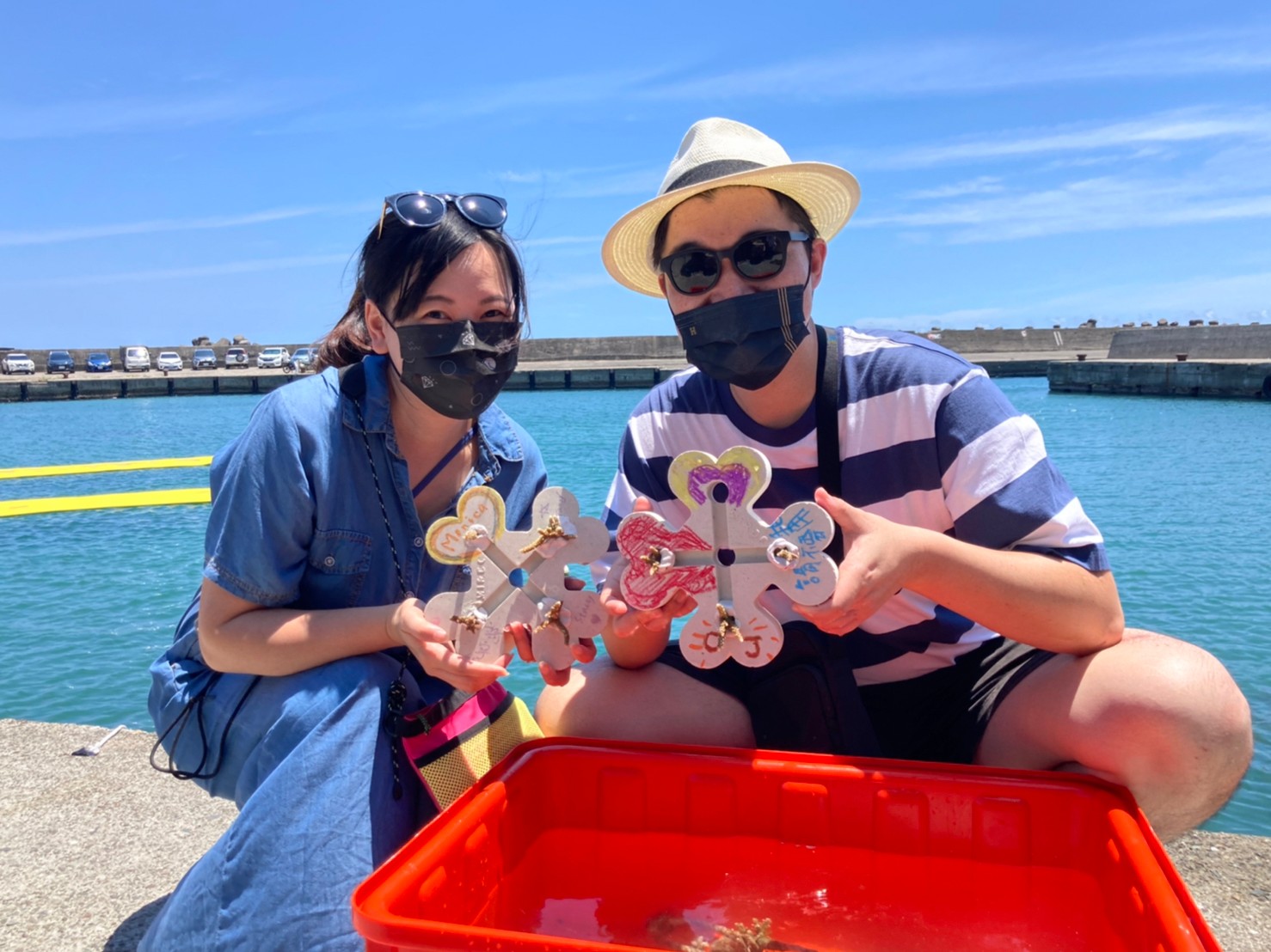 和美漁港珊瑚復育有成，珊瑚寶寶長大啦!