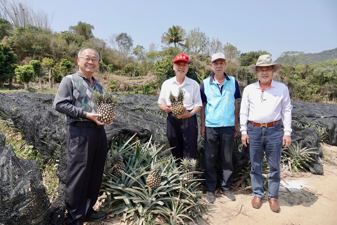 漾新聞|市議會農林委員會考察內門美濃了解鳳梨產銷困境 期市府穩定價格