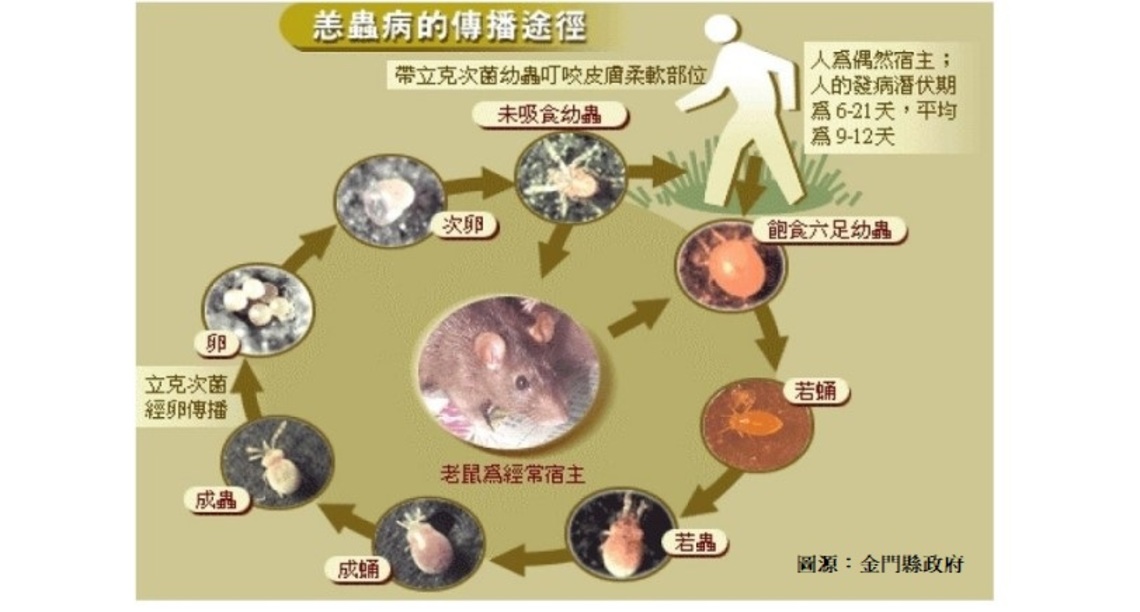 別來無「恙」!工作中的蚊蟲咬傷亦可能是職業傷病!