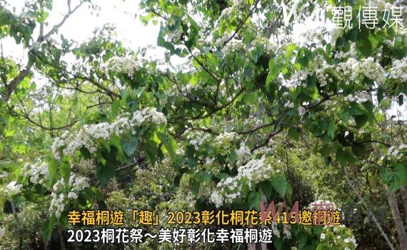 影/八卦山麓飄四月雪!幸福桐遊「趣」2023彰化桐花祭415邀桐遊