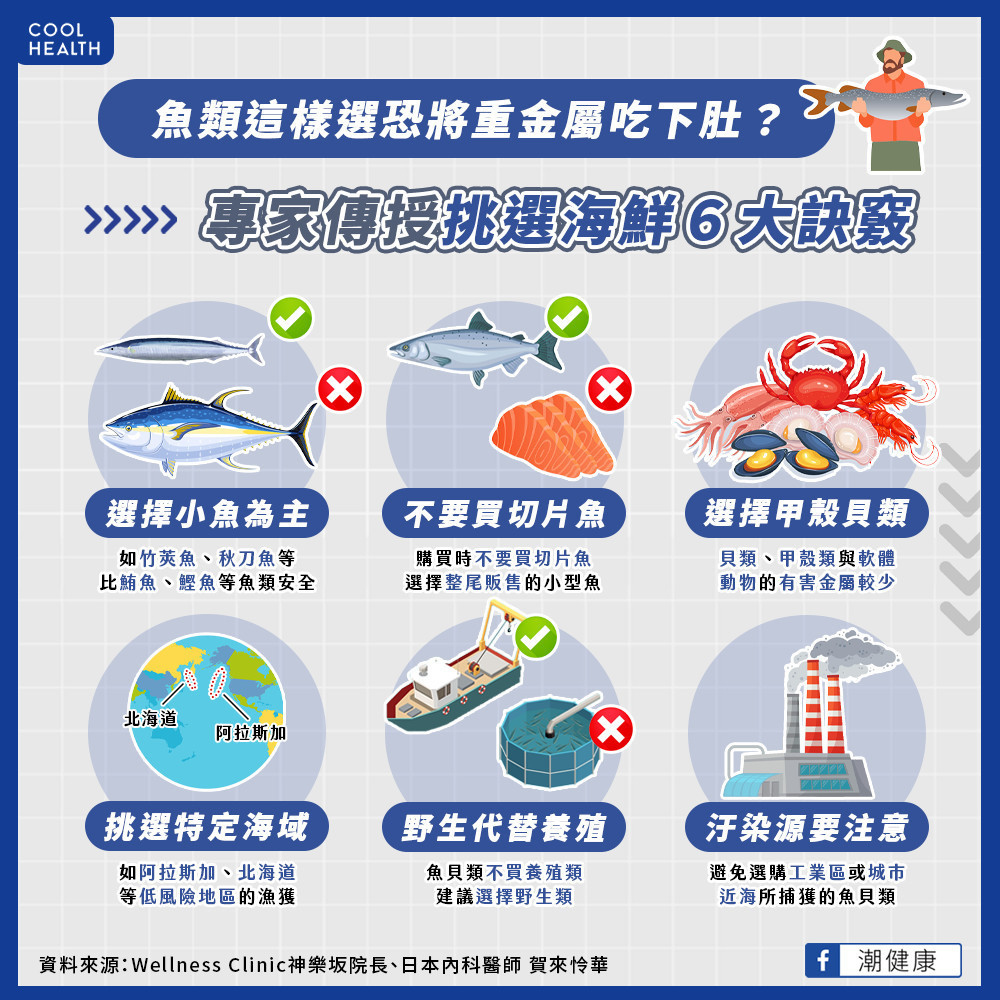 魚類這樣選恐將重金屬吃下肚? 蝦、蟹、烏賊比大魚更安全? 魚類這樣選恐將重金屬吃下肚? 蝦、蟹、烏賊比大魚更安全?