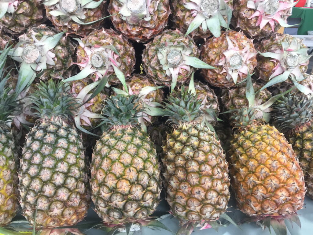 現正值鳳梨產季，微酸帶甜且質厚多汁