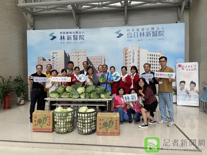 看診送健康 林新醫院10天送萬顆高麗菜