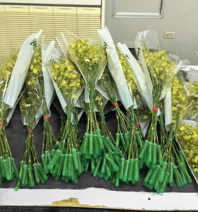 畫面來源:商榮實業