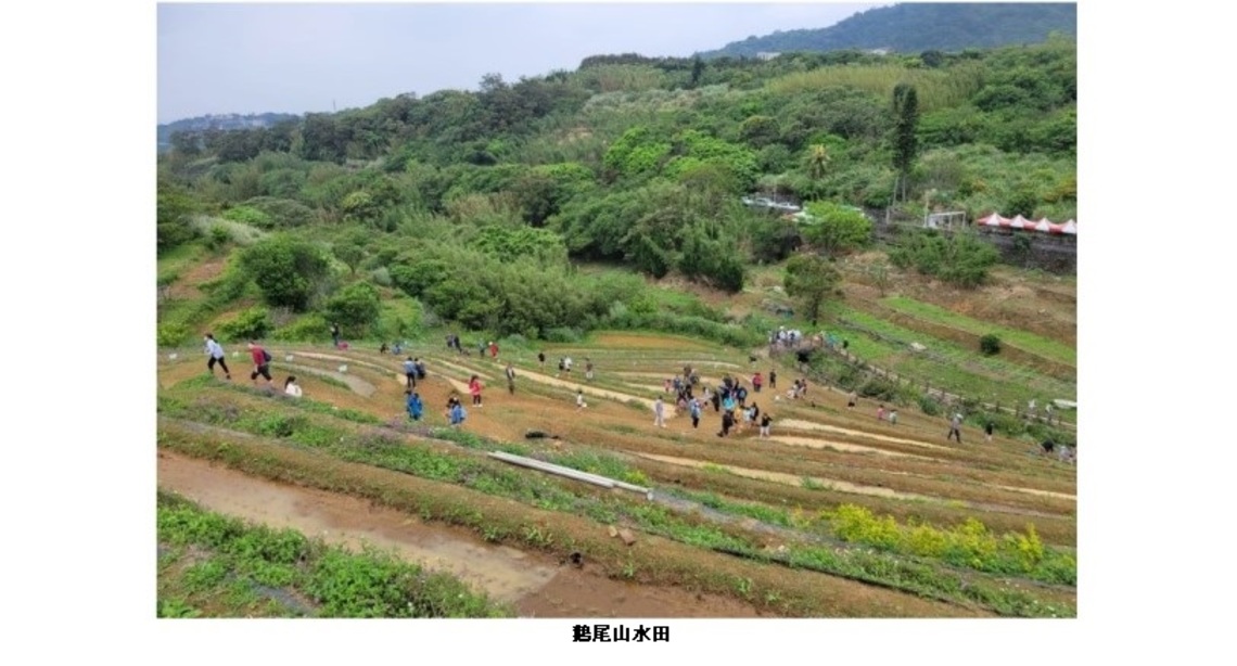「稻」此一遊!倘佯在鵝尾山水田遨遊