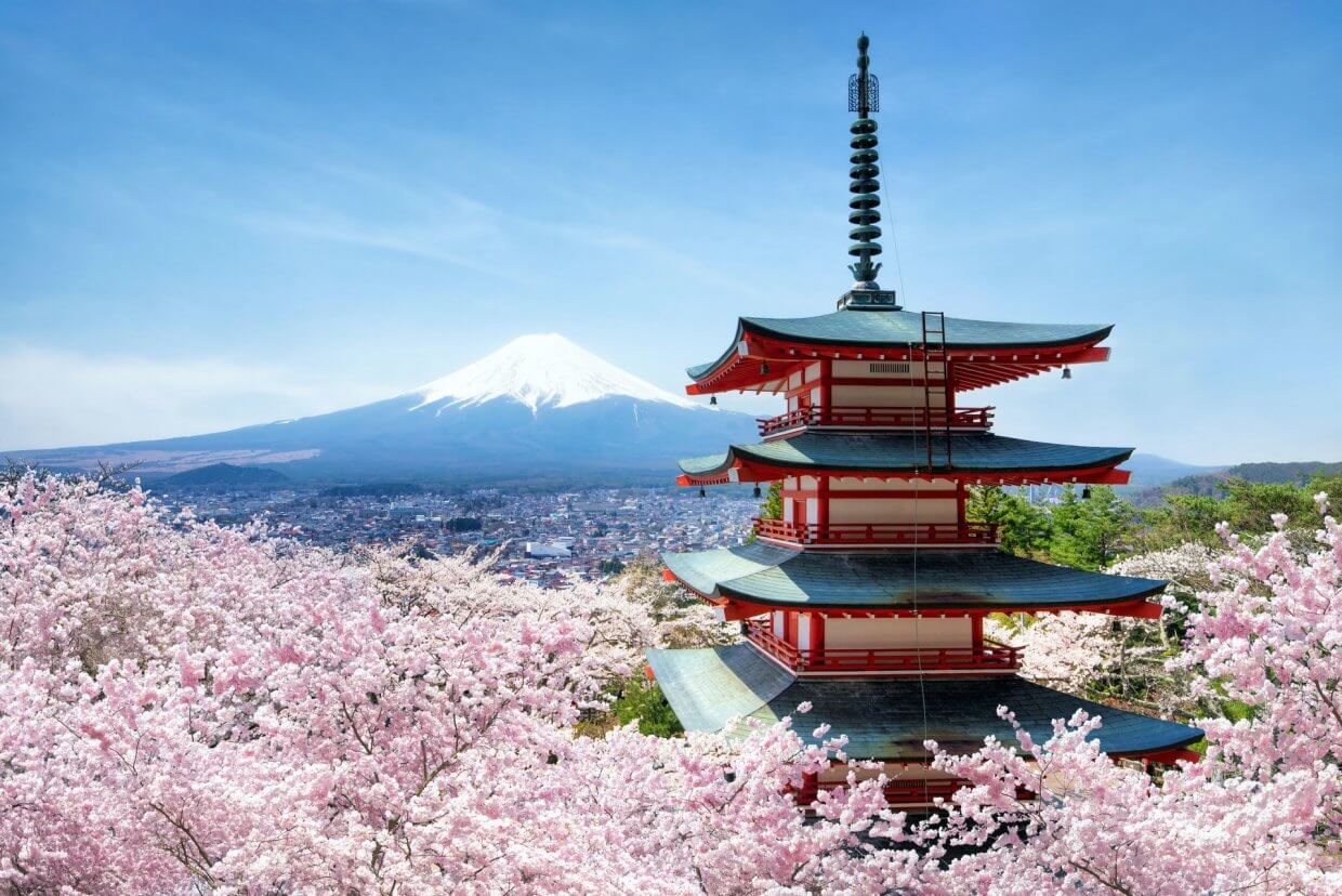 Chureito,Pagode,And,Mount,Fuji,With,Cherry,Blossom,Tree,During