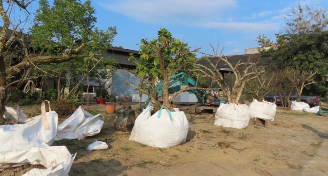 竊取台南楠西國有林梅樹遭保七警法辦