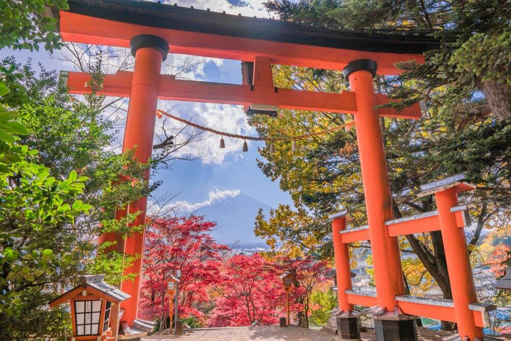 Japanese,Landscape,,The,Arakurayama Segenkouen,In,Autumn,Colors,With,Fujiyama 