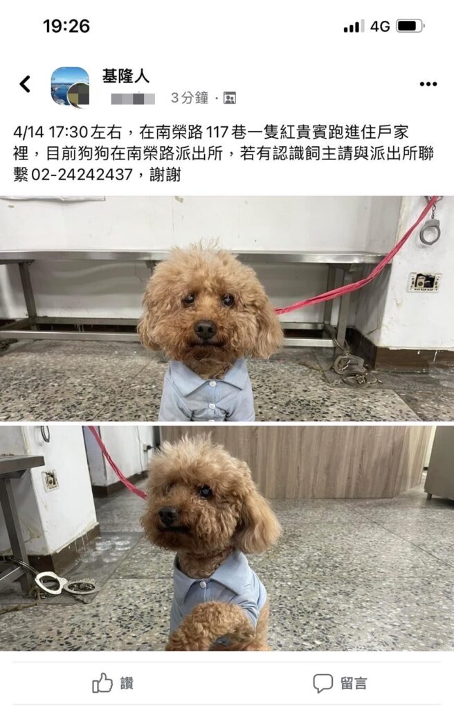 員警在Facebook社團「基隆人」貼文協尋走失寵物狗