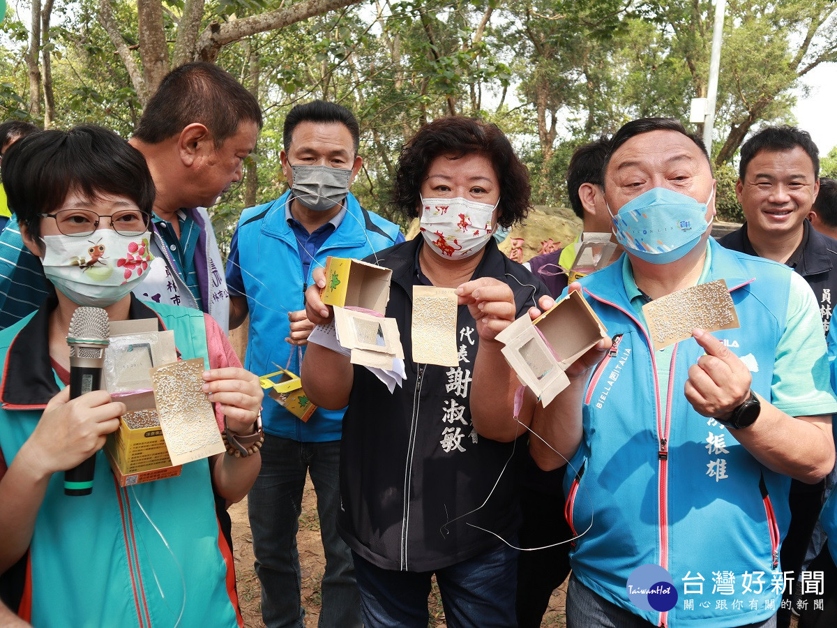 解決廢耕園區荔枝椿象問題 員林市釋放16萬隻平腹小蜂生物防治
