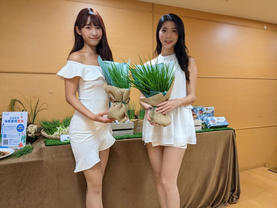 圖/春天生產的珠蔥有著淡雅的香氣、甘甜的口感,生吃亦能品嚐到其鮮嫩清爽的滋味。(圖/新北市政府農業局提供)