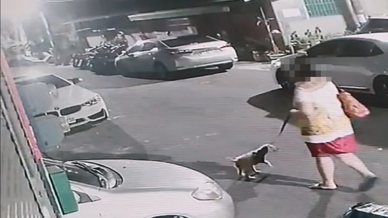 狗狗掩護我！女賊溜狗隨意亂開車門行竊