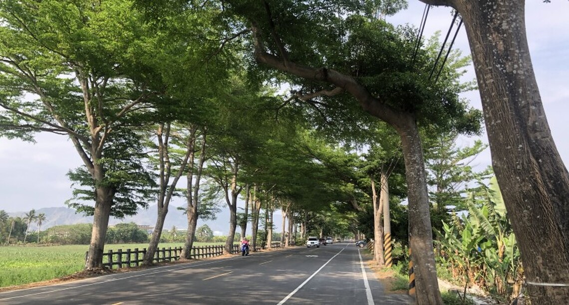 美濃綠色隧道 駕駛人心情好