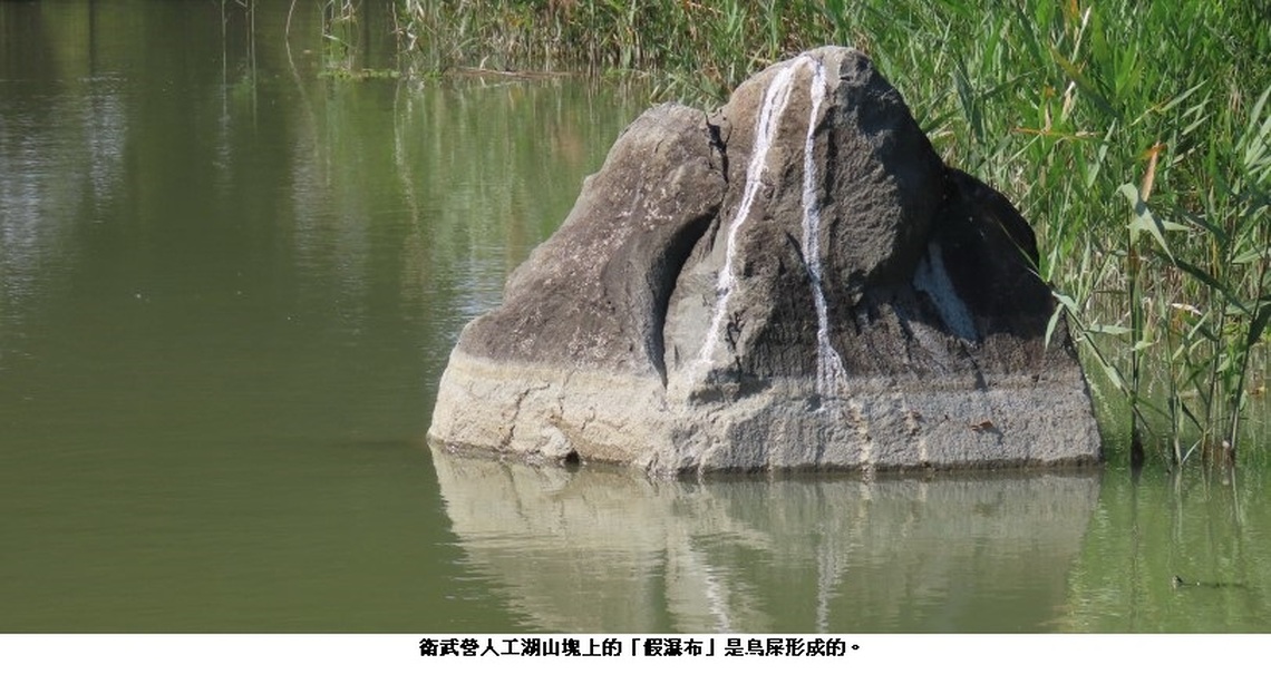 遠觀似瀑布 近看是鳥屎