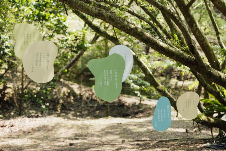 一年一度的桐花祭登場。 圖:客家委員會/提供