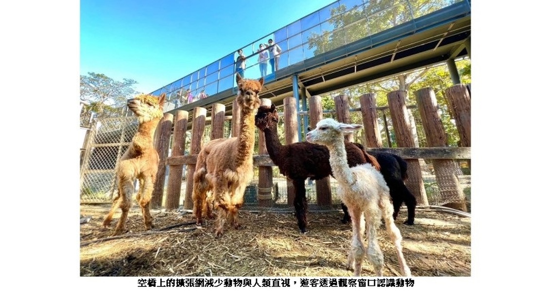 兼具動物保育與生命教育 壽山動物園REOPEN四個月突破50萬人次
