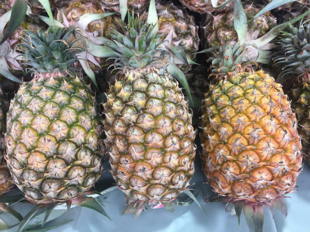 本周雲林縣農會將於花博農民市集推出鳳梨特賣