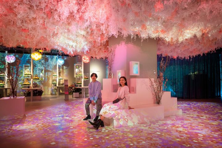 朝聖！東京三大最夯熱點 哈利波特咖啡廳、沉浸式花卉藝術展、HOBBY SHOW品味魅力之旅