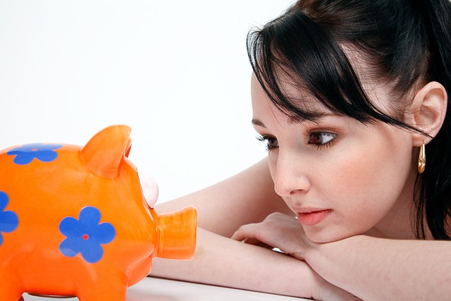 piggy-bank-gf47e9beb5_640.jpg
