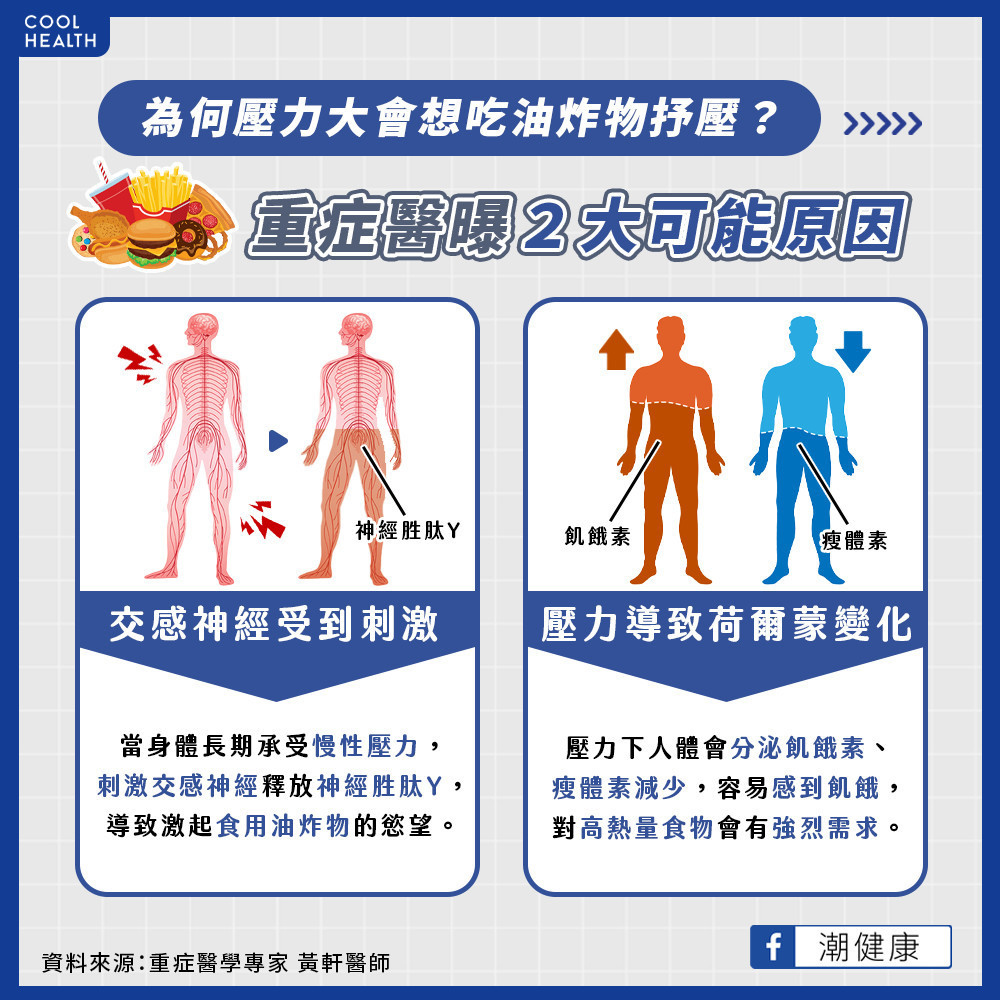 為何壓力大會想吃油炸物抒壓？  重症醫曝2大可能原因
