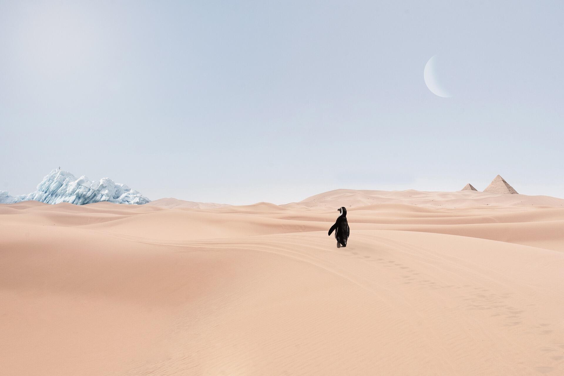 climate-protection-4090283_1920