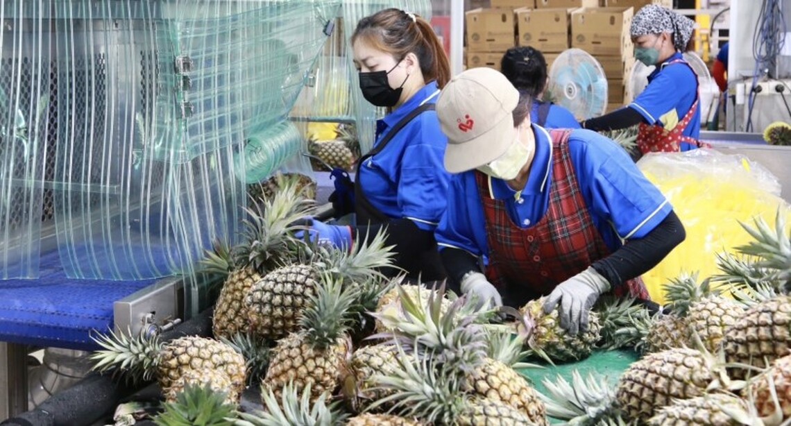 黃偉哲購物平台行銷台南鳳梨