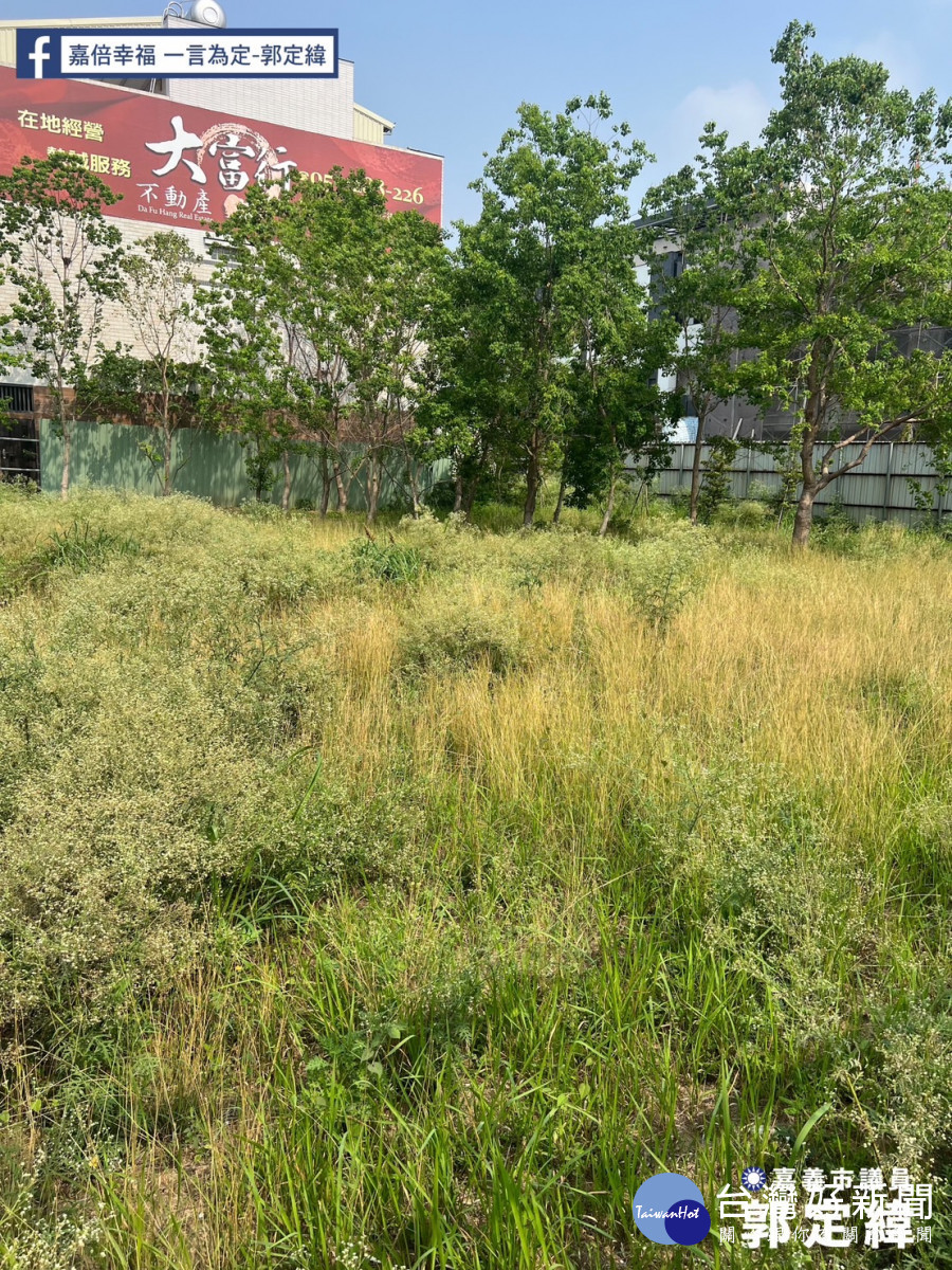順興二路與興美五街口的「湖兒1」兒童公園預定地雜草叢生/郭定緯服務處提供