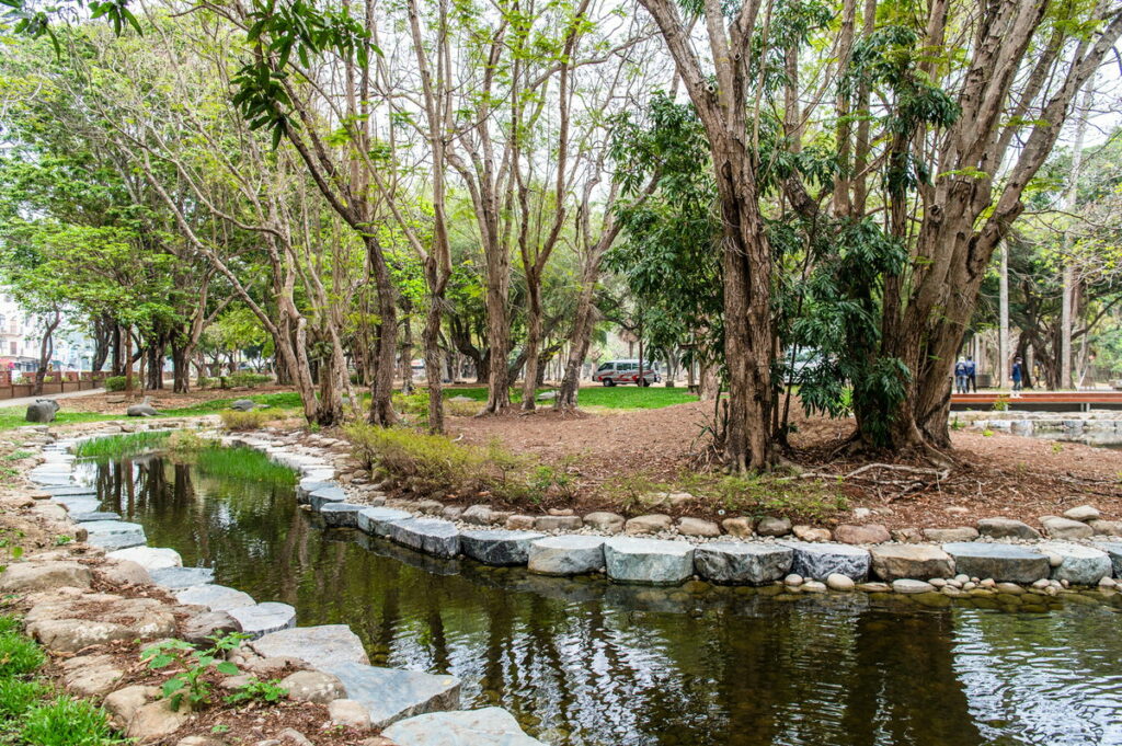 嘉義公園重現小西湖美景