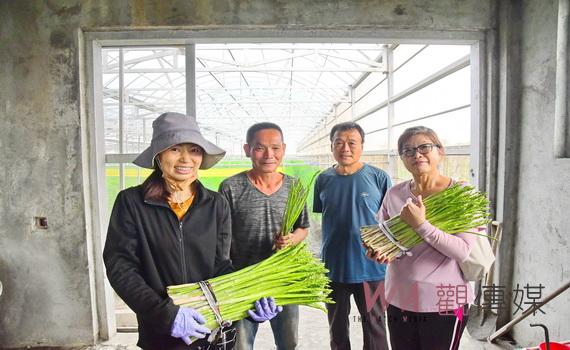 千萬元溫室+東螺溪黑砂土 二林農友楊昌耀夫婦種出超優鮮綠蘆筍