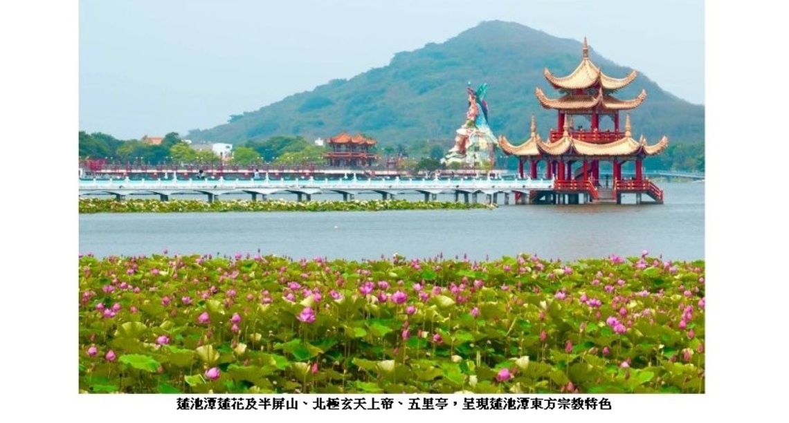 蓮池潭蓮花盛開　左營賞花散步小旅行