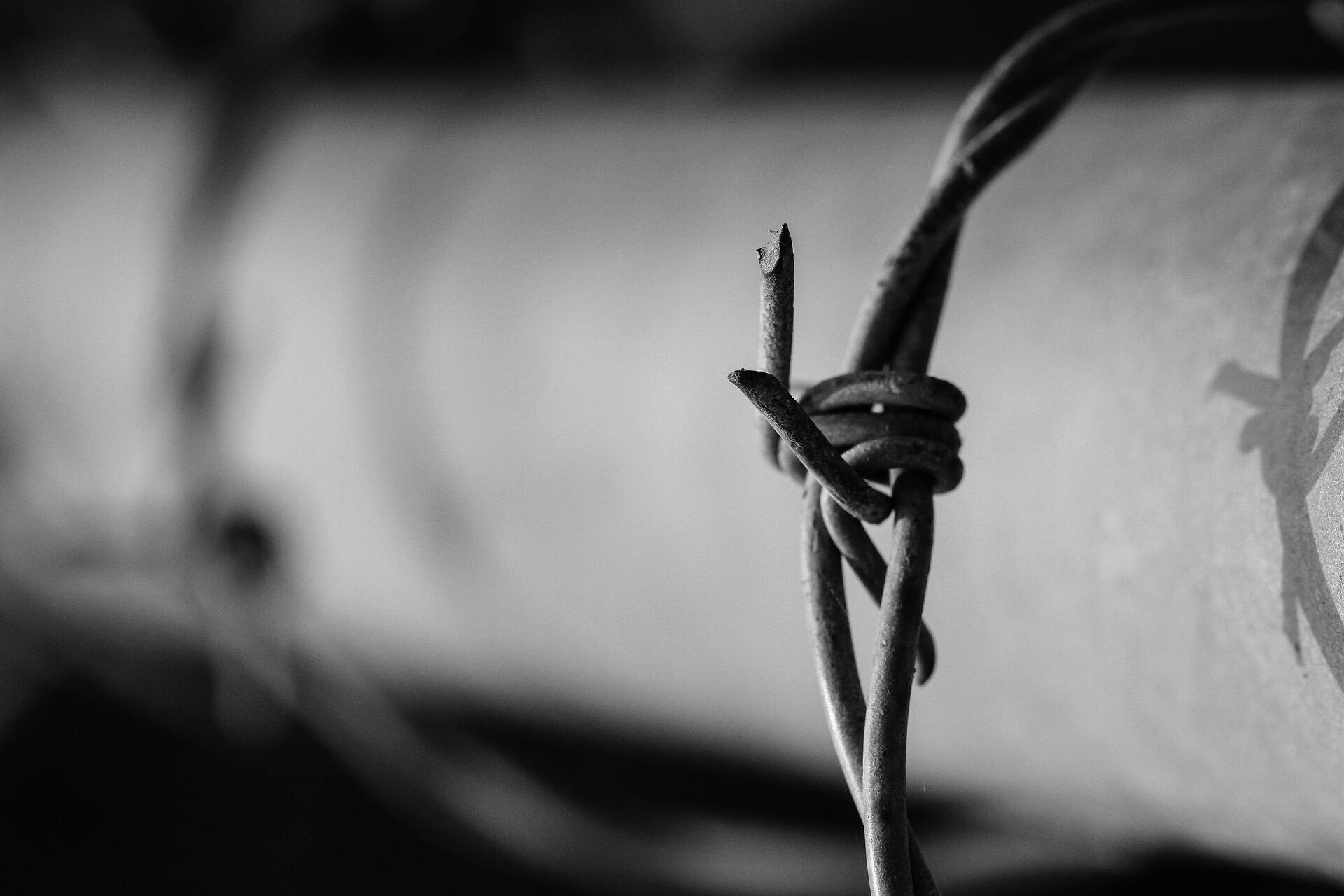 barbed-wire-1899854_1920