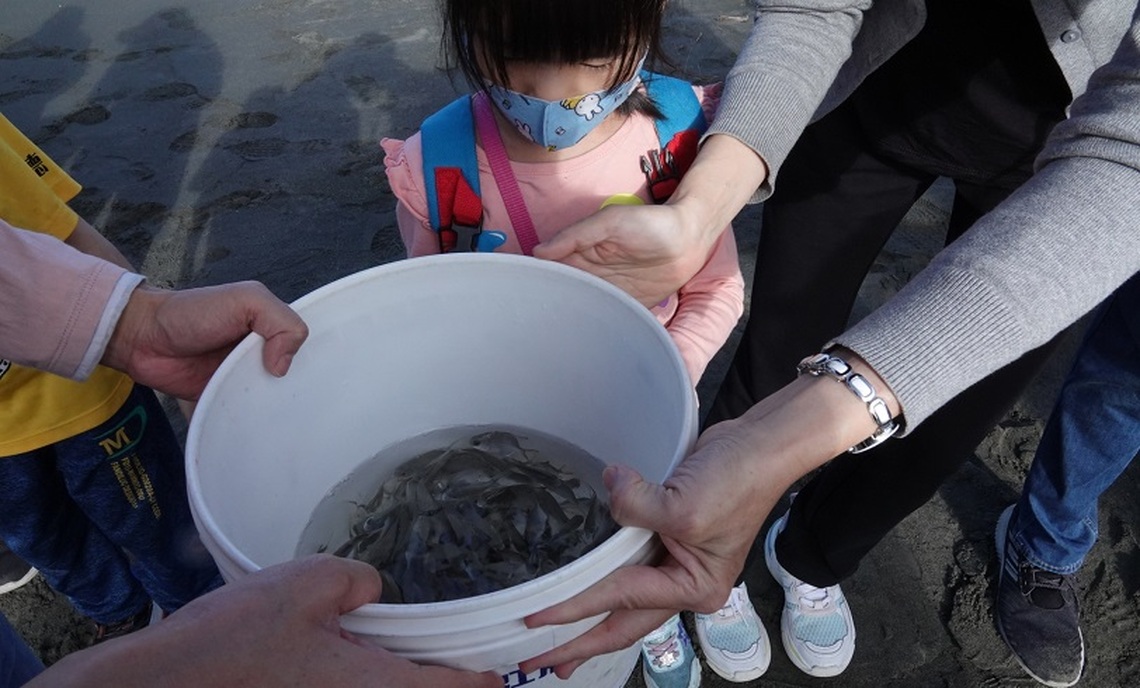 高市海域水產動物放流 記得要先申請!
