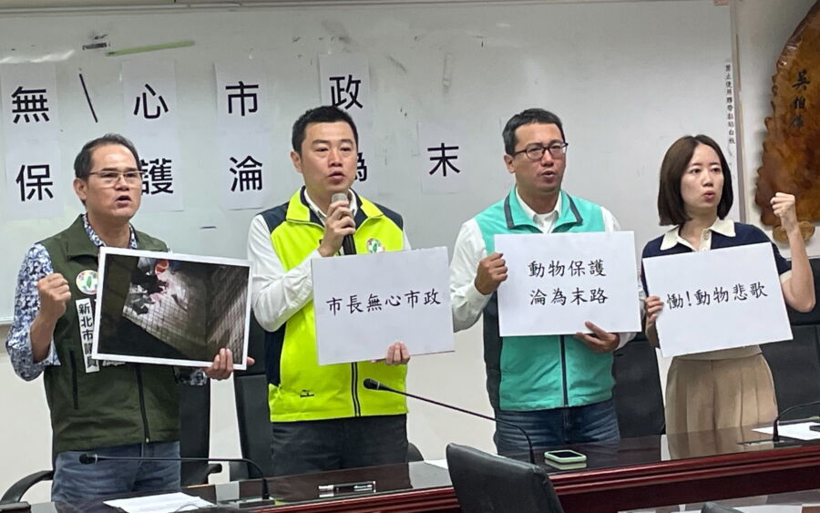 圖／新北市議員張錦豪、林秉宥、蘇錦雄及戴瑋姍4日召開記者會，揭露外籍移工恐捕抓犬貓食用。（圖／記者陳志仁攝）
