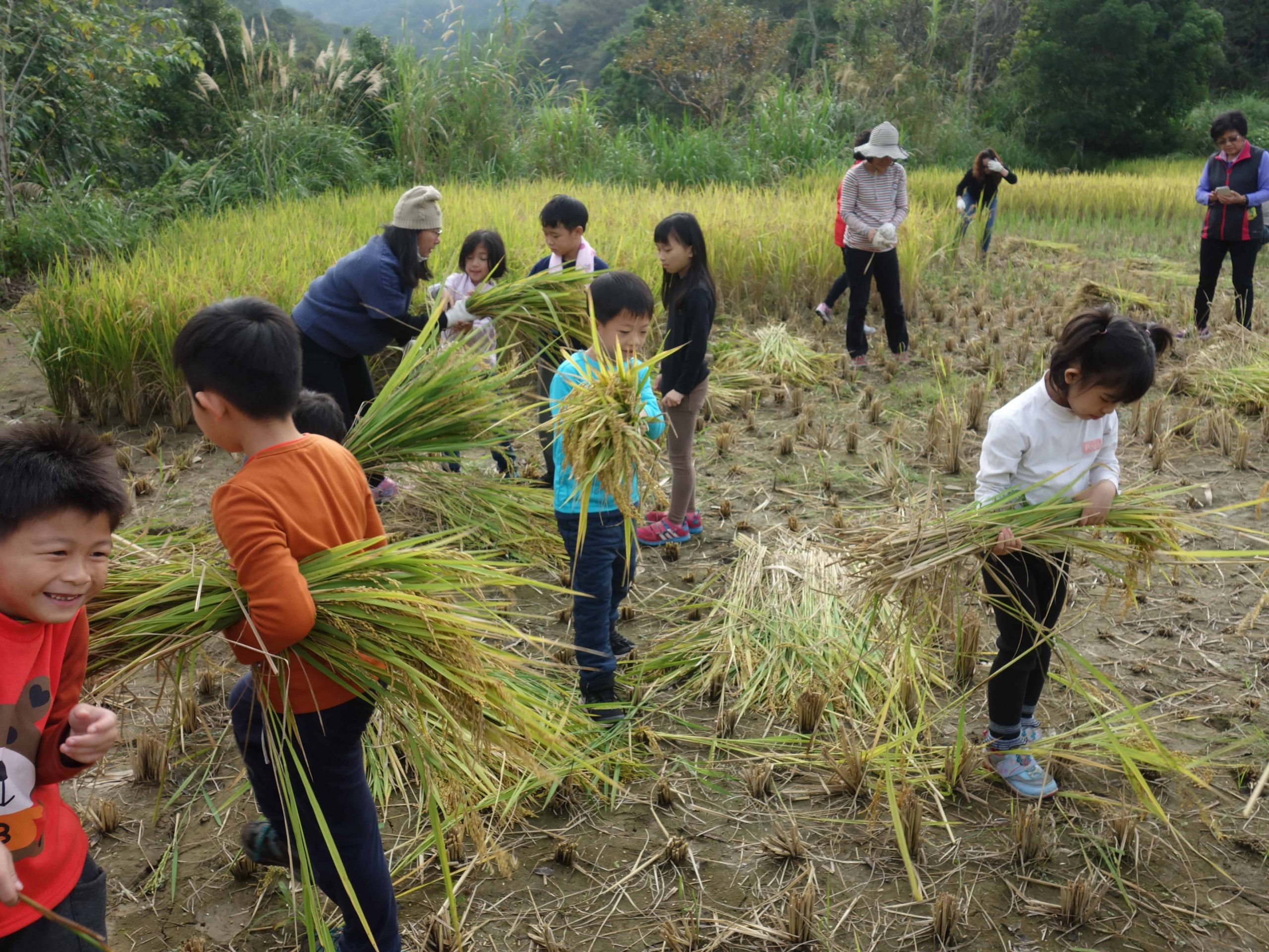 實踐「特定教育理念」　國教署協助實驗教育學校發展多元特色課程