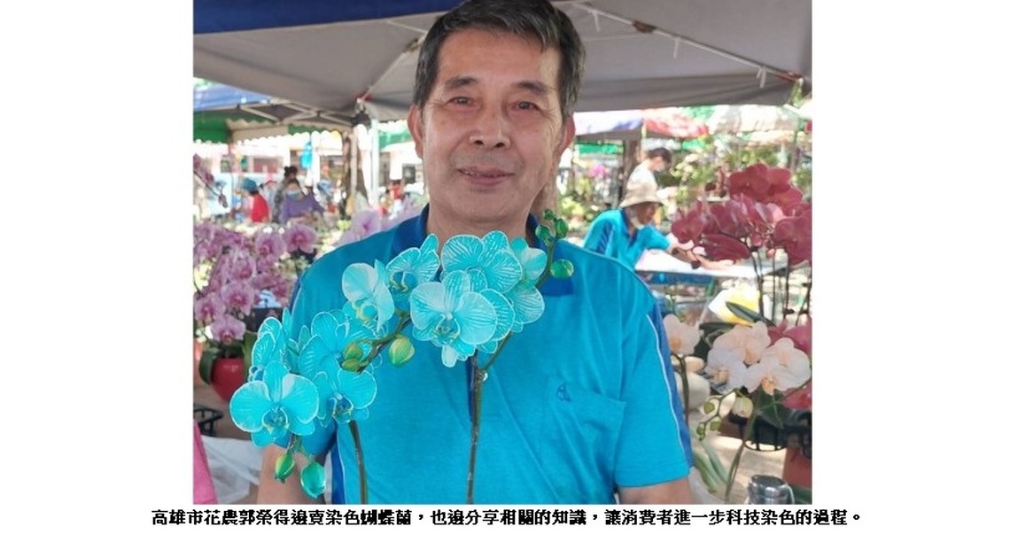 美到冒泡的「科技蘭」 染色蝴蝶蘭大放異彩