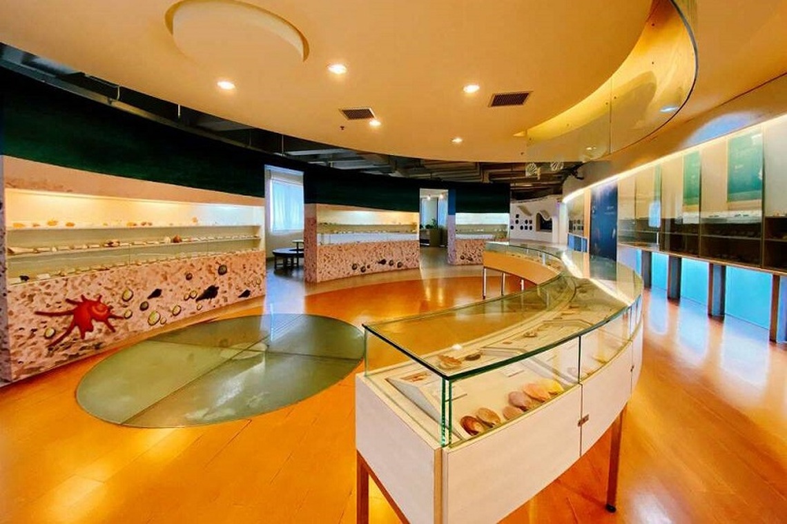 5/9-5/12旗津貝殼館休館檢修保養