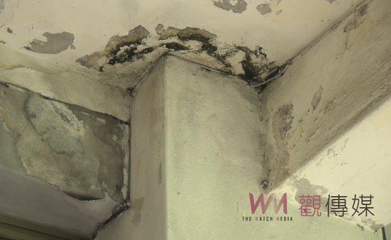 普發6千力量大　頂新和德文教基金會邀你給他一個家