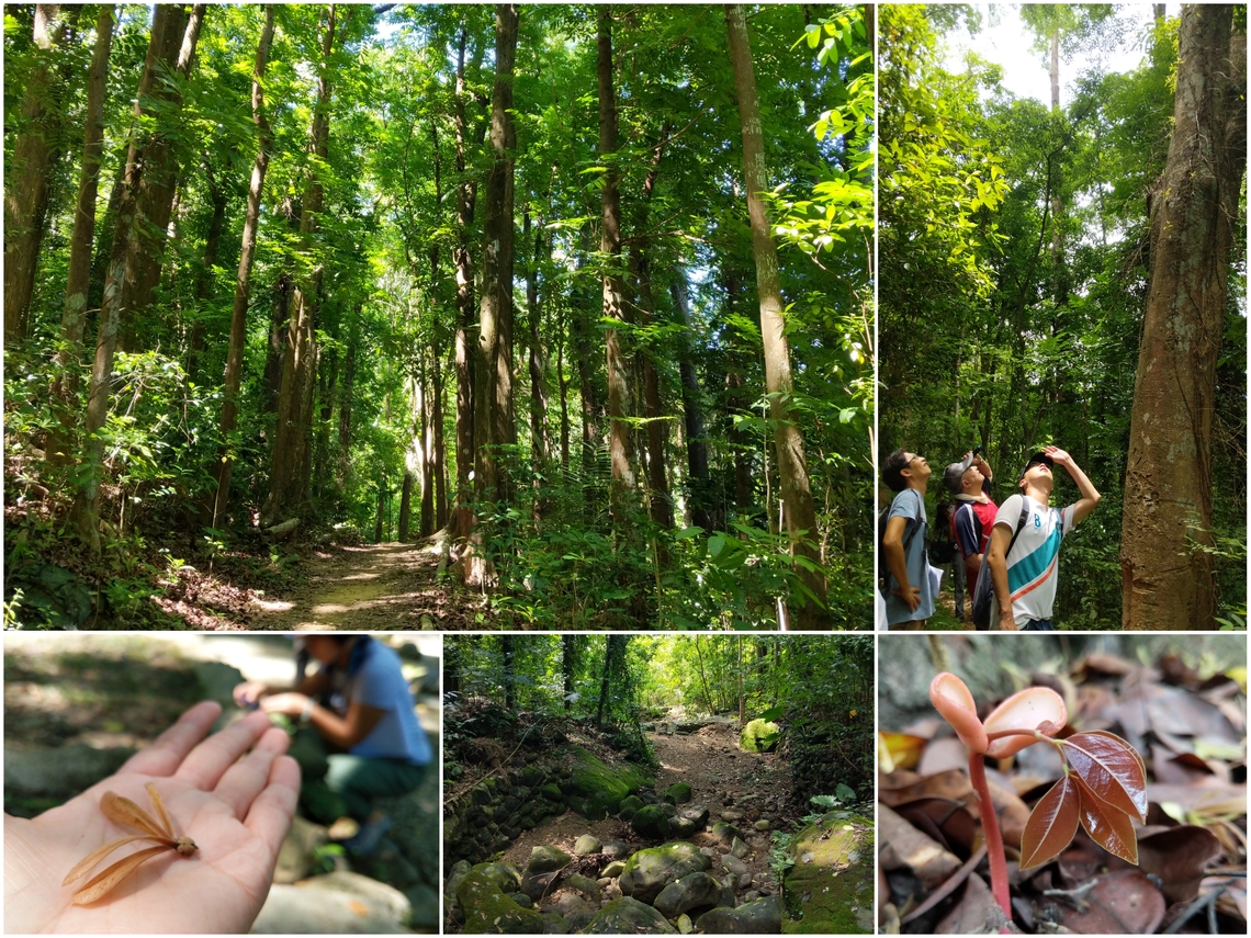 2023美濃雙溪樹木園手作步道體驗活動