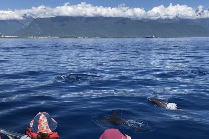 向海洋致敬 花蓮海洋保育校園講座邀民眾一起守護