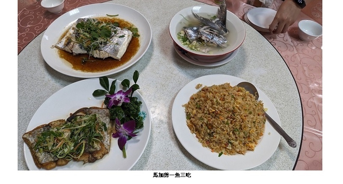 東北角海域老饕最愛的馬加剪