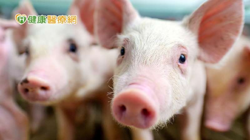 今年首例「H1N2v豬流感」 國內僅3例都在中部!互有關聯性?疾管署分析
