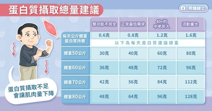 每天該吃多少蛋白質?