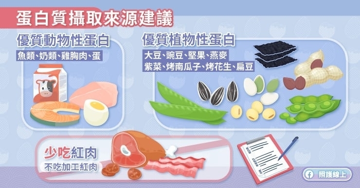 該選擇什麼蛋白質來源?