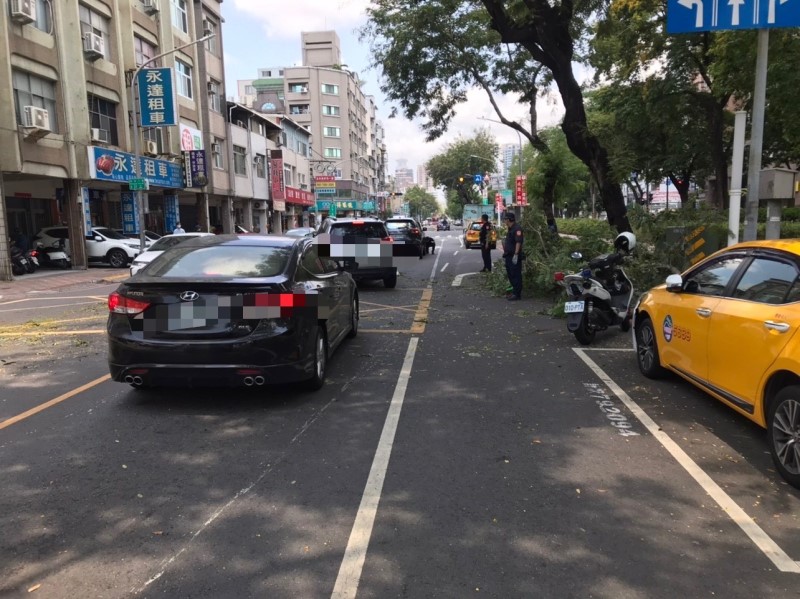 凱旋路人行道路樹斷裂掉落 造成車輛損毀