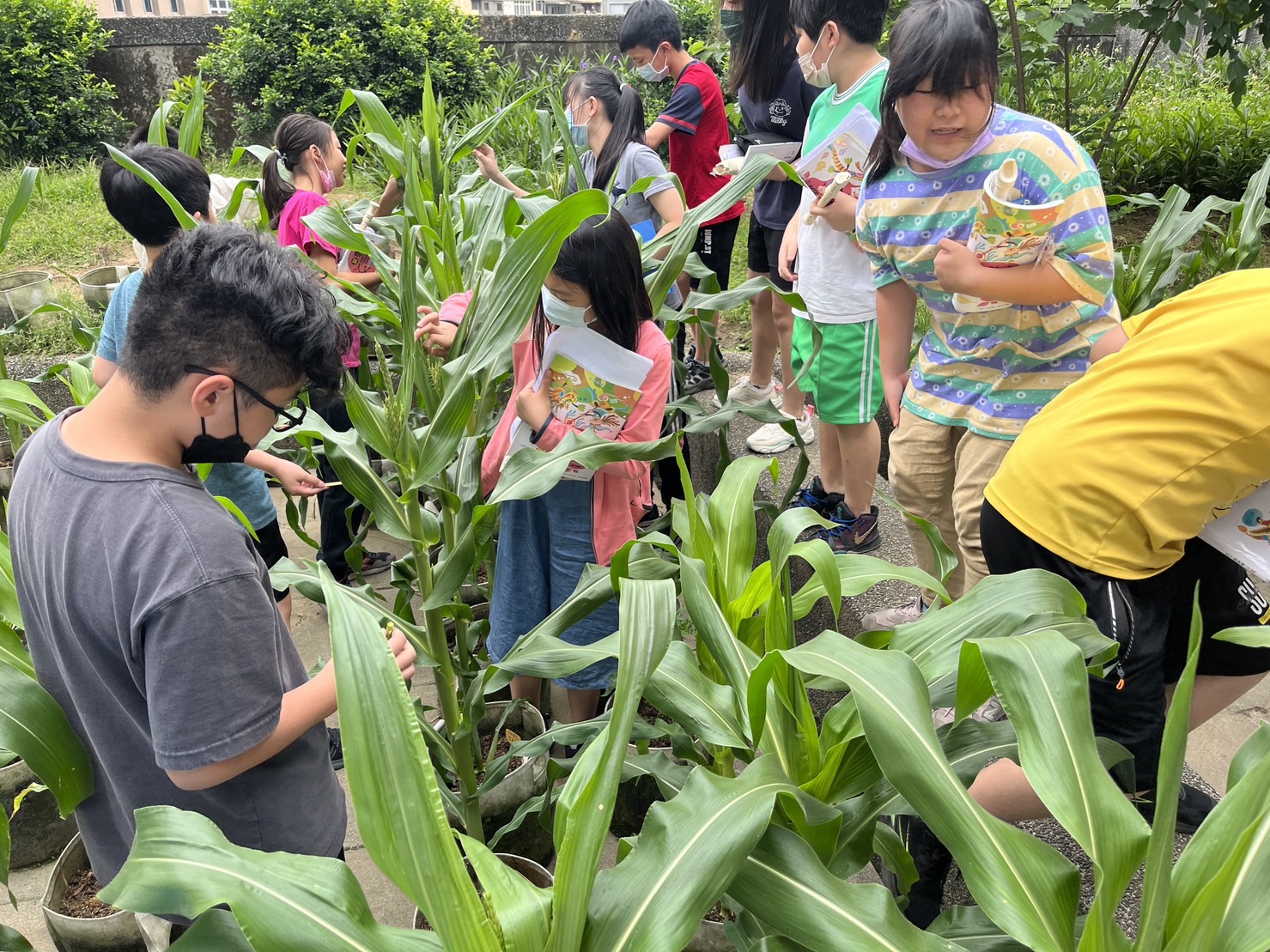成功國小市區田園生活孩子樂開懷