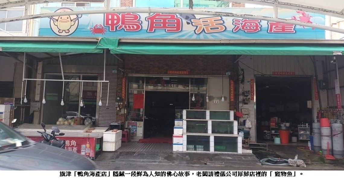 旗津海產店老闆佛心來的 請禮儀公司厚葬店裡的寵物魚