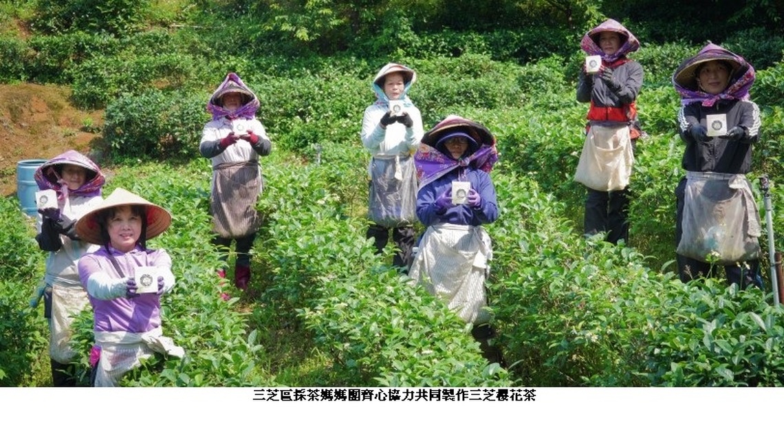 三芝茶農助婦女二度就業 產製櫻花茶享譽國際
